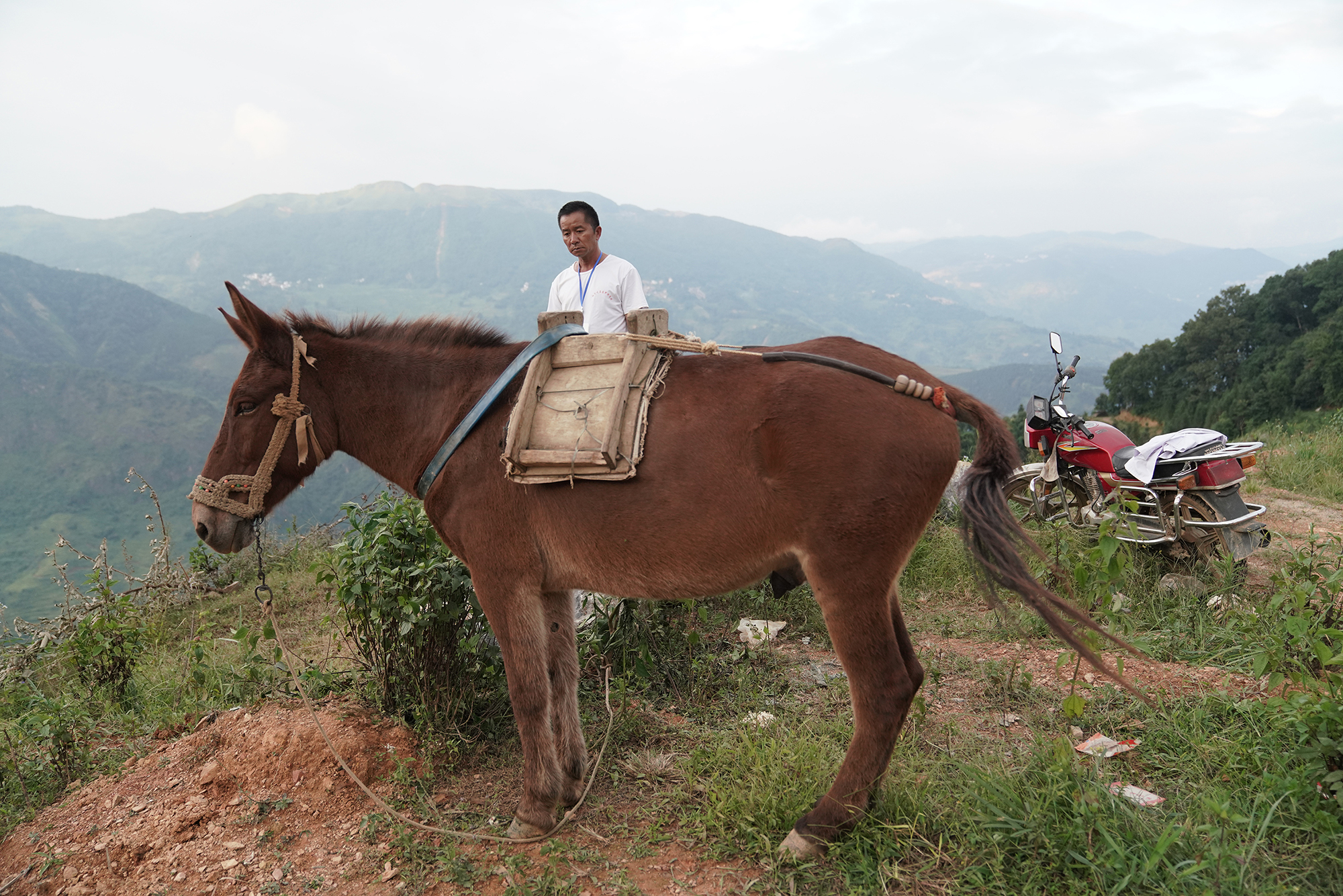 骑马行医13年,乡村医生看得见病人,看不清未来