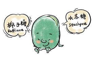 【答网友问】豆类加工成豆制品是否就不易胀气了？