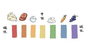 【答網友問】多吃堿性食物真的比較健康嗎？