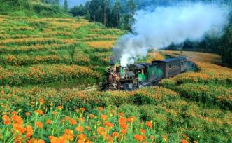 嘉阳小火车，中国唯一活着的寸轨蒸汽火车
