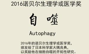 漫畫|科普諾貝爾醫(yī)學(xué)獎(jiǎng)：自噬是個(gè)什么鬼？