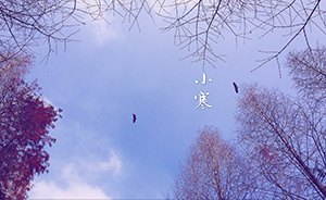 節(jié)氣丨小寒吃羊肉，御寒補(bǔ)腎氣