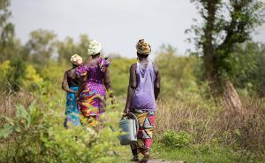三角洲在早晨醒來（上）