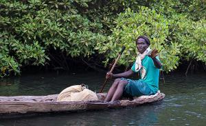 三角洲在早晨醒來（下）