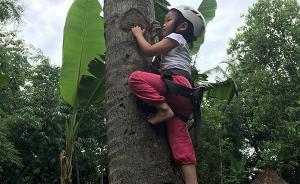 带娃去巴厘岛爬椰子树学摔跤，那些年读过的绘本都活过来了