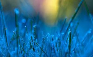 乍暖還寒時，“春捂秋凍”有道理