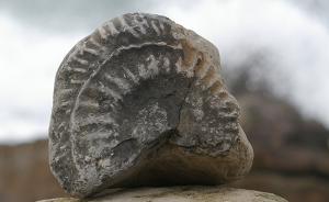 在英国侏罗纪海岸，“化石徒步”带你看1.85亿年的地球史