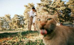 澎湃聯(lián)播|高校曝光學(xué)生親密照，下一步或?qū)⑴c卓偉開展合作