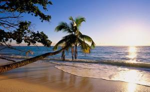 塞舌尔、斐济、大溪地，如何区分这些遥远的热带海岛？