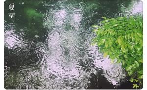節(jié)氣｜夏至一陰生，防身體入梅