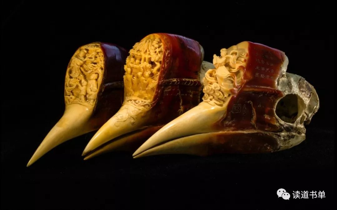 盔犀鸟头雕刻图片