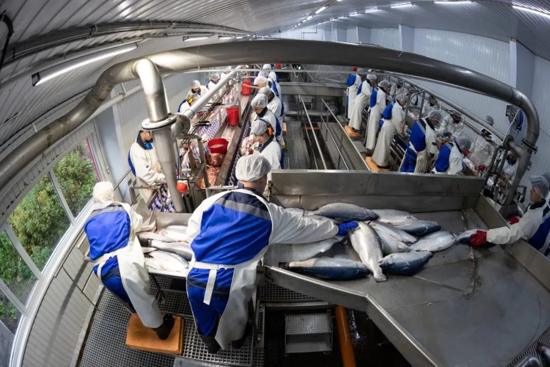 县产业项目扶持力度,支持远洋渔业稳健发展,促进水产养殖业稳定生产