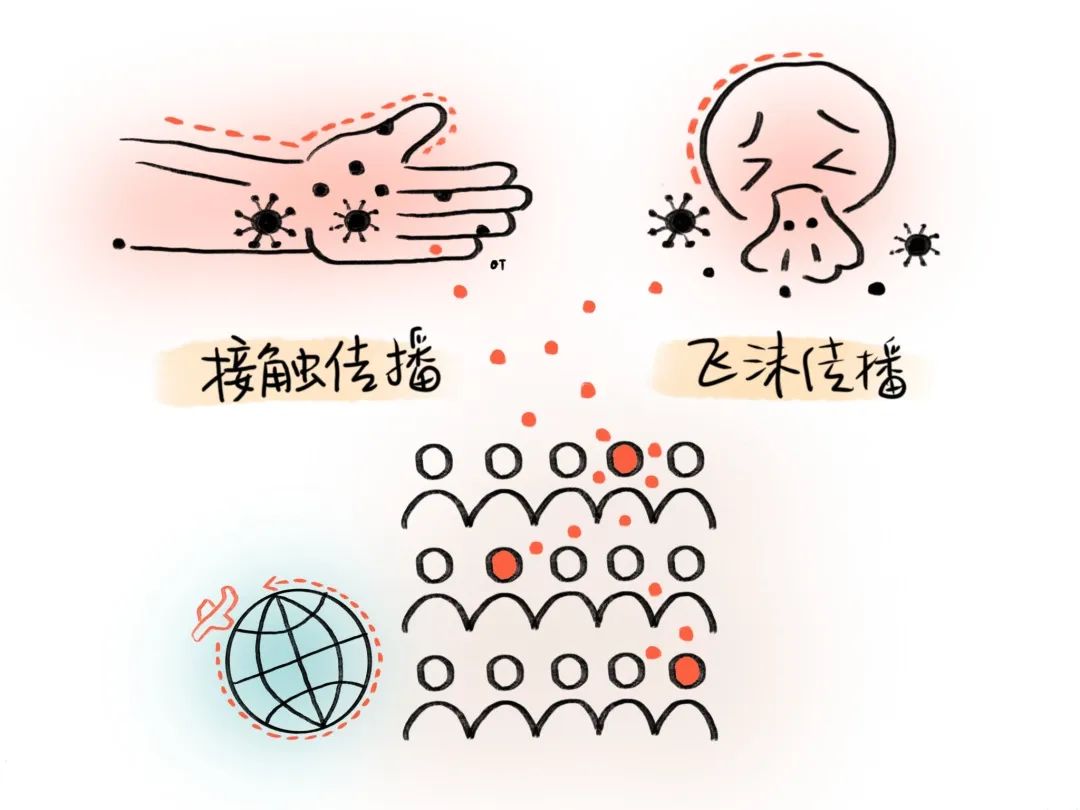 科学家们一直在寻找帮助病毒实现跨物种传播的破坏性突变.