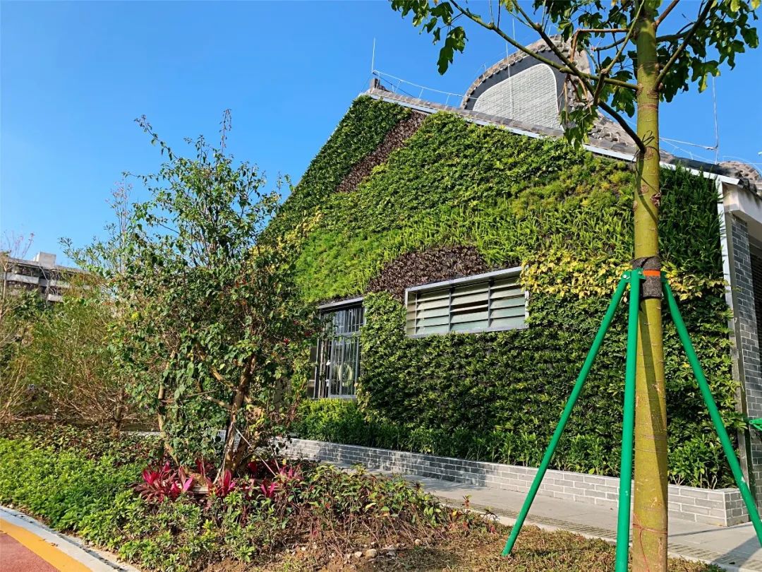 公厕成园景禅城推出首批立体绿化公厕