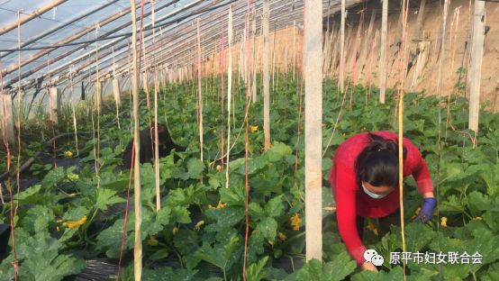 防疫复工两不误! 原平市妇联助力复工复产在行动(二)