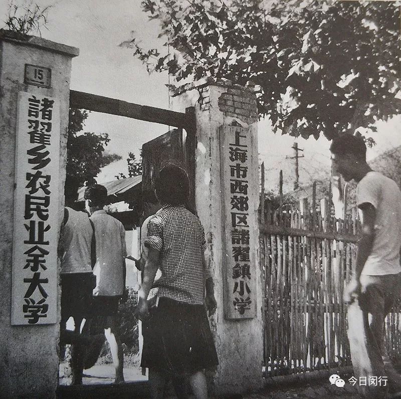 莘庄梅陇马桥他们曾经长啥样