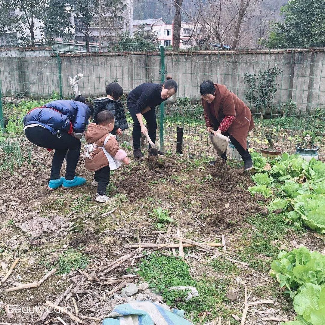 抗击疫情 巾帼行动 重庆城口鸡鸣巾帼防“疫”春耕两不误！澎湃号·政务澎湃新闻 The Paper 4358