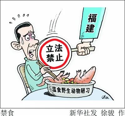 战疫进行时福建保护野生动物管住山头管住嘴