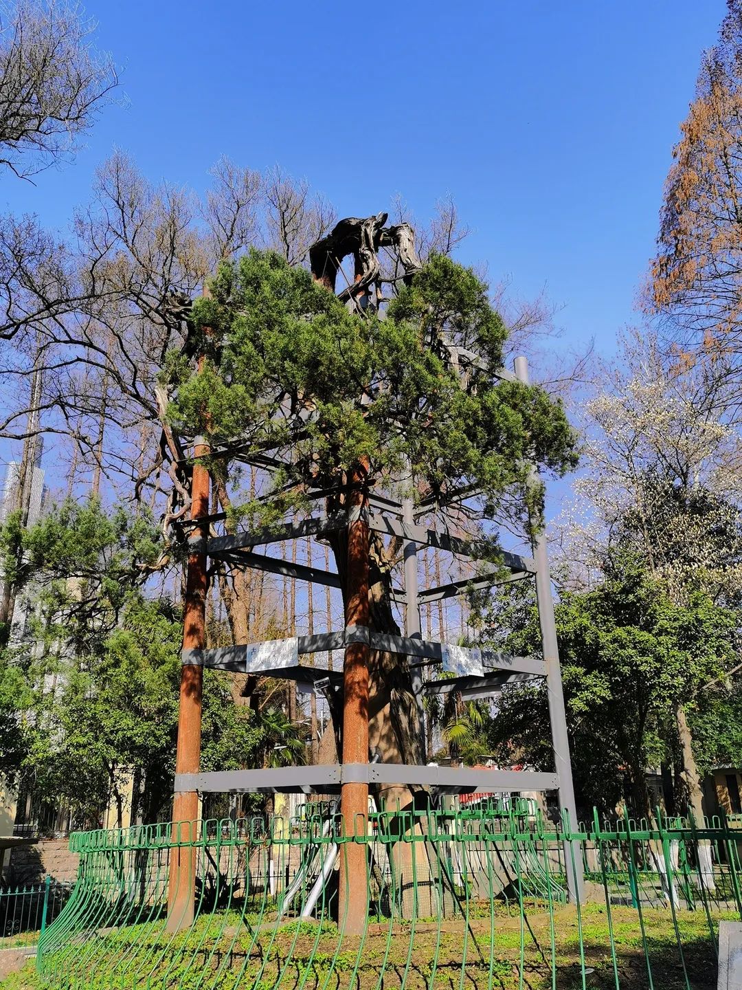 seuer,四牌楼2号来了!