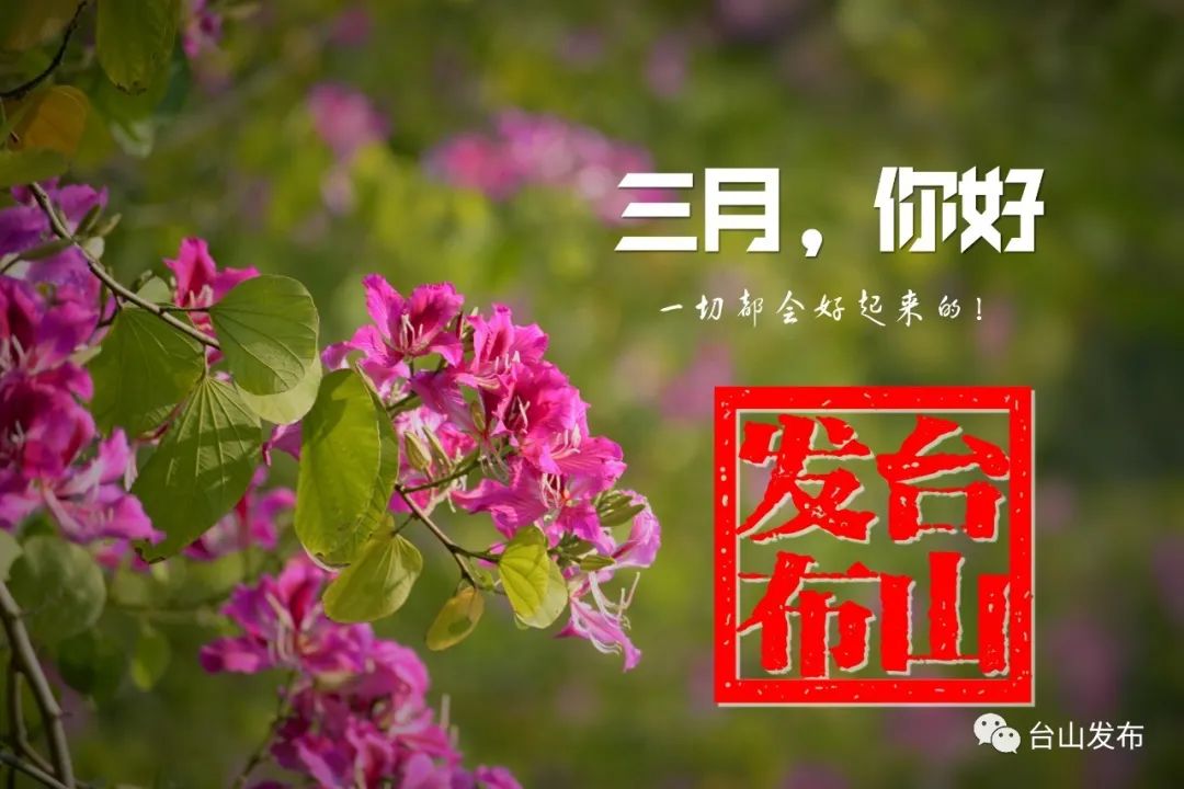 春天来了一切都会好起来的