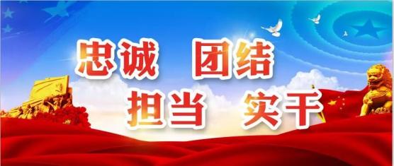 党旗飘扬 苑淑梅 扛重担为居民冲在前线的 带头人