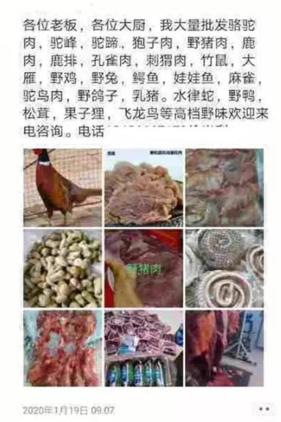 联袂共建安详、康健、绿色的生态平台情况