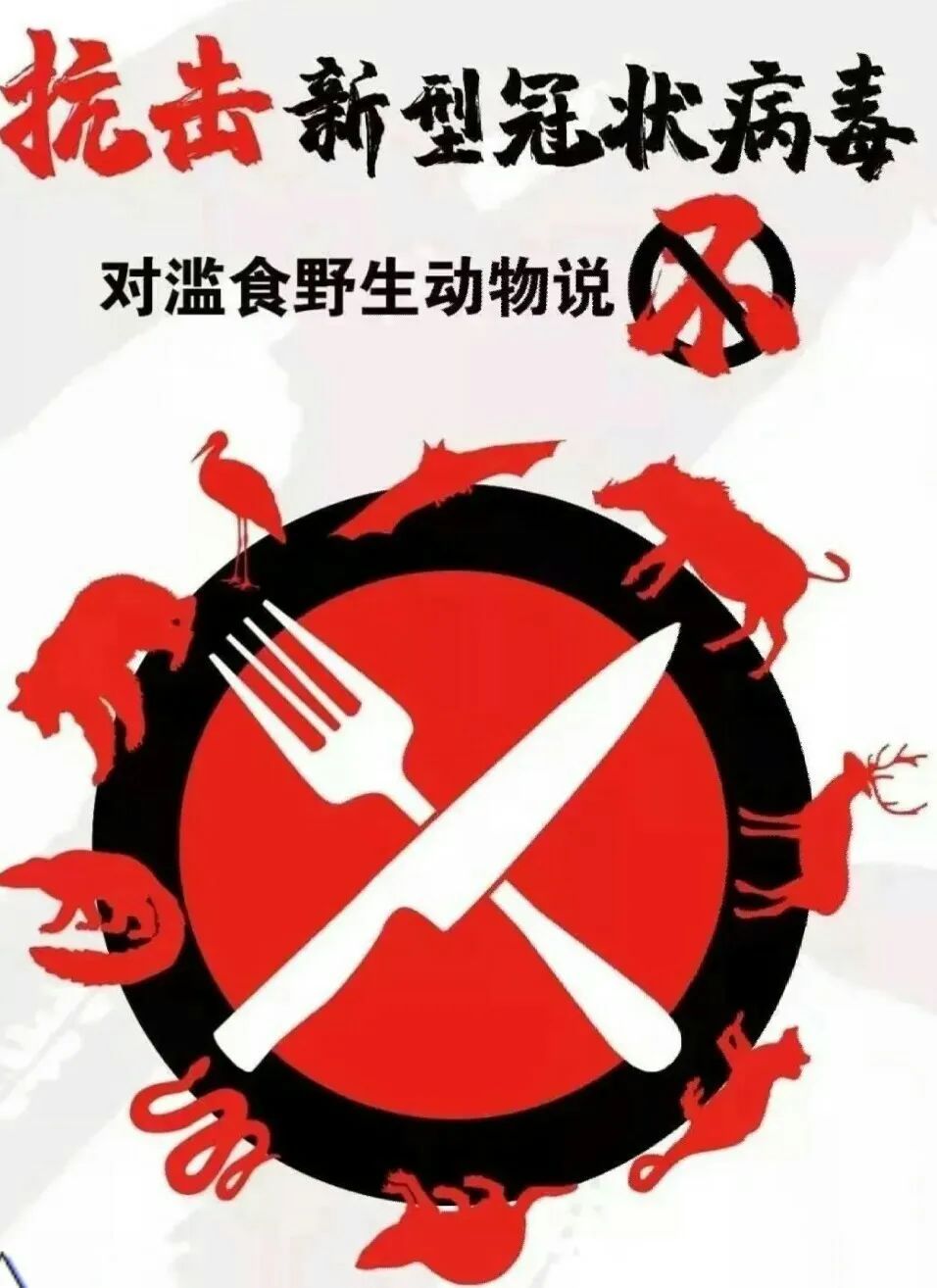 保护野生动植物,维护生态安全!