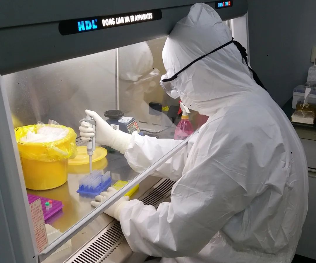 与毒共舞向死而生记pcr实验室里的核酸检测者