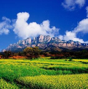 关于公开征选《庐山旅游整体营销及旅游产品开发策划案》的公告