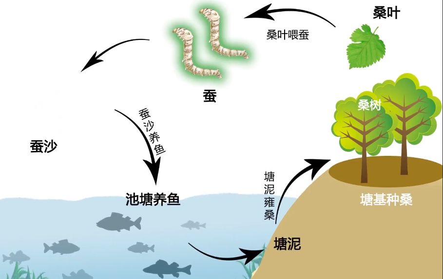 基塘农业简易图图片