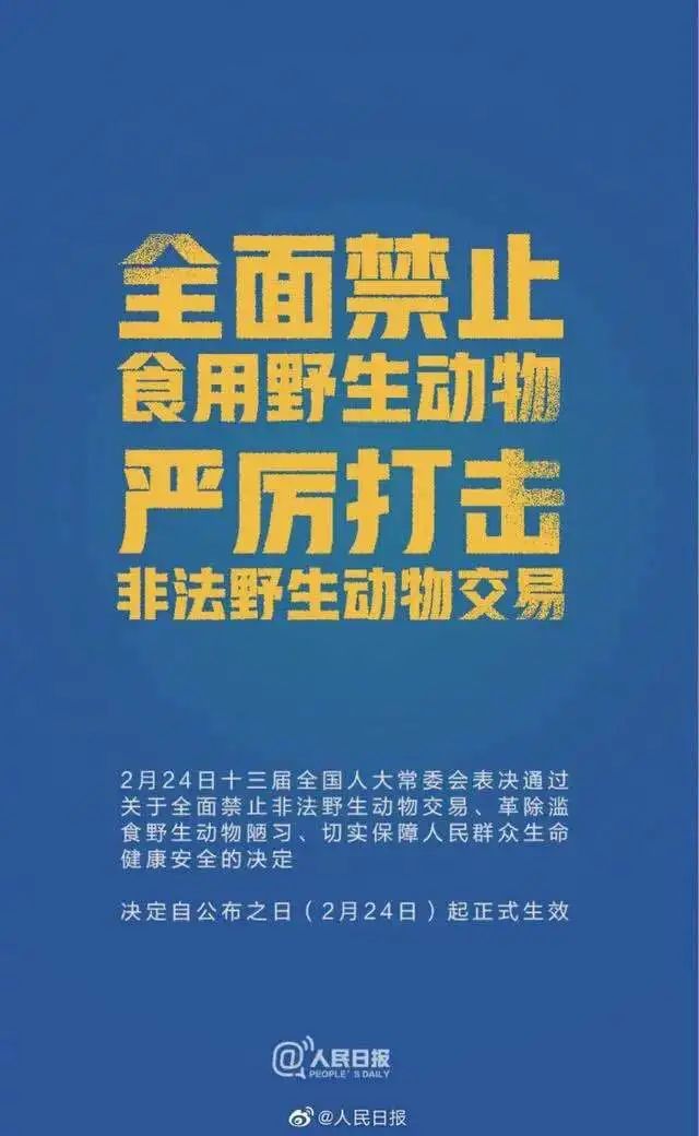 这条倡议稳