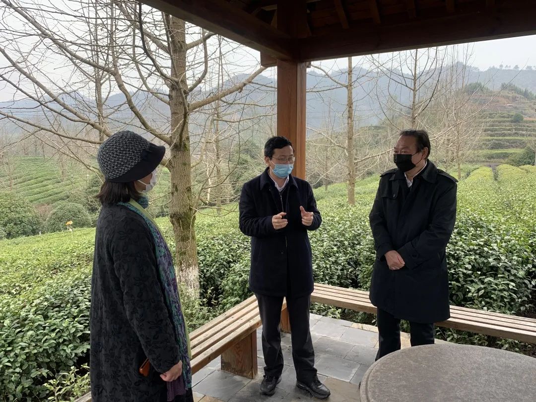 三服务进行时省委统战部副部长省职教社常务副主任王