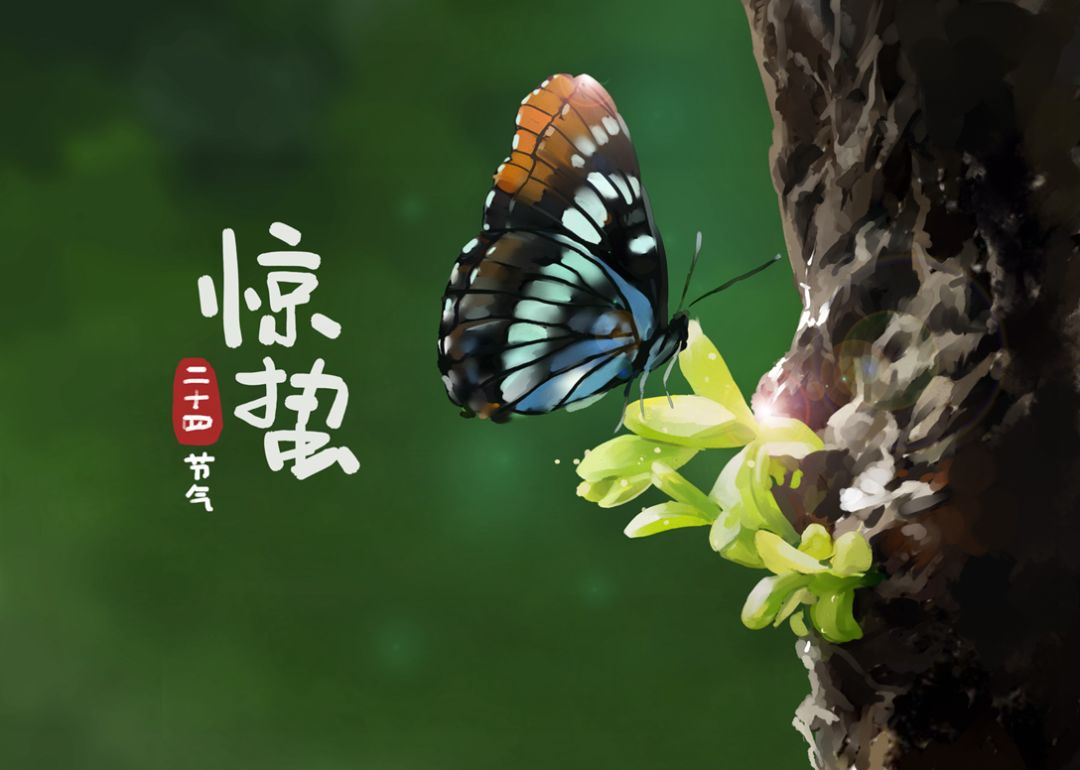 今日惊蛰春天正在走来仍不可放松警惕