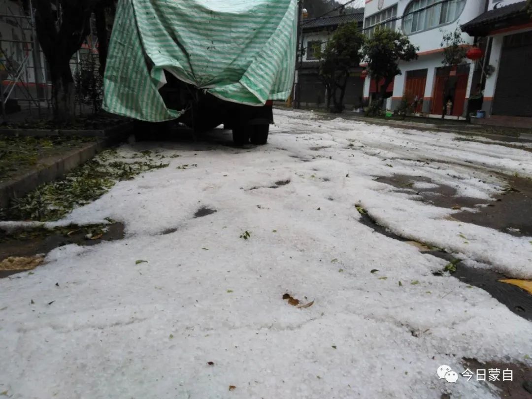 房屋损坏,作物绝收,凌晨一场冰雹造成蒙自直接经济损失2168万元!