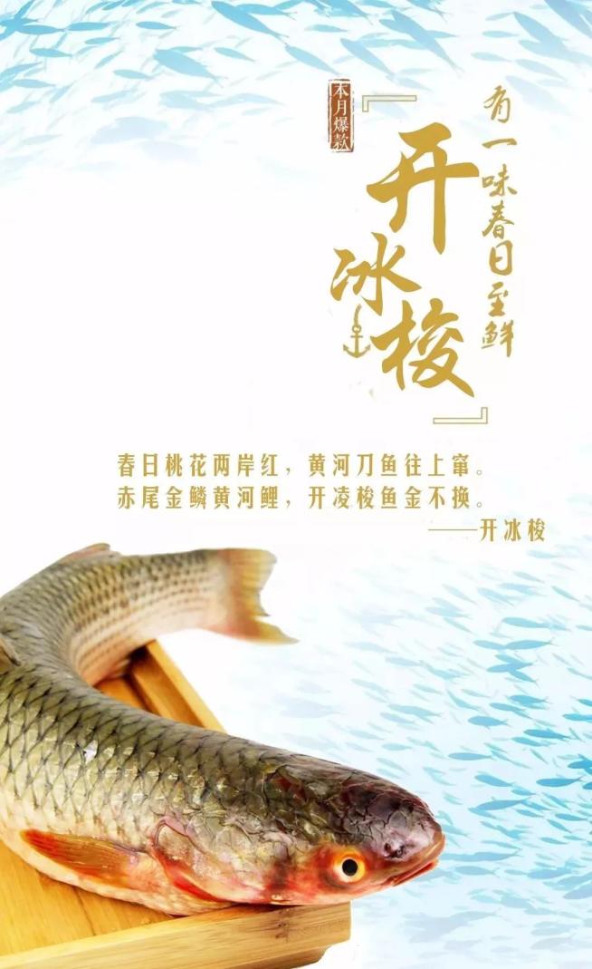 莱州迎春第一鲜来了!鲜的没话说!