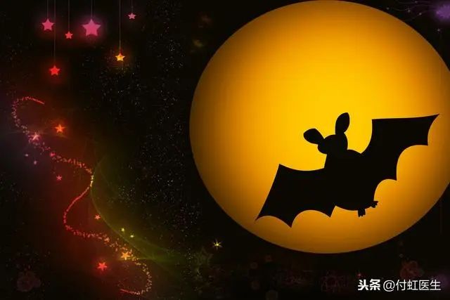 蝙蝠白天黑夜猜成语_白天黑夜图片(2)