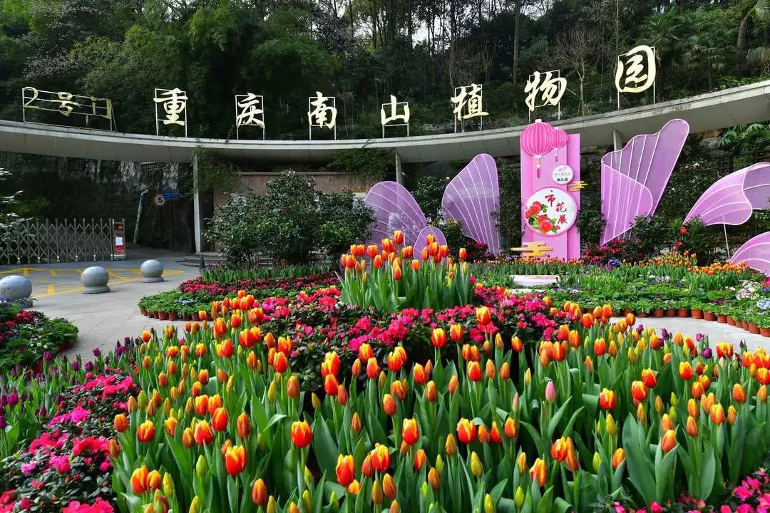 "云"赏山城春色,不负繁花不负春