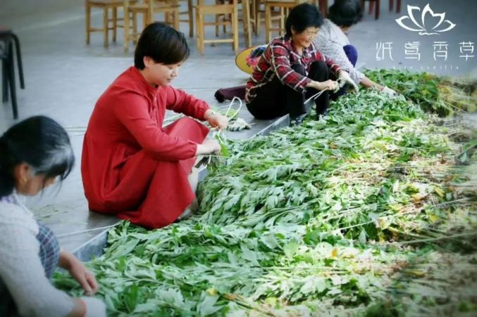 芜湖每年gdp_芜湖大司马(3)