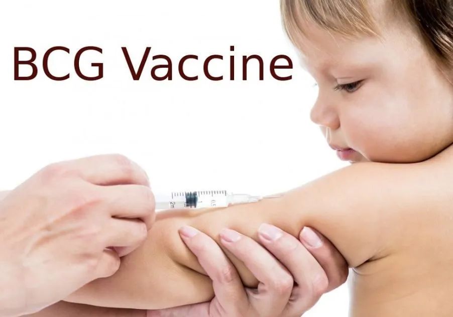 bcg 接種