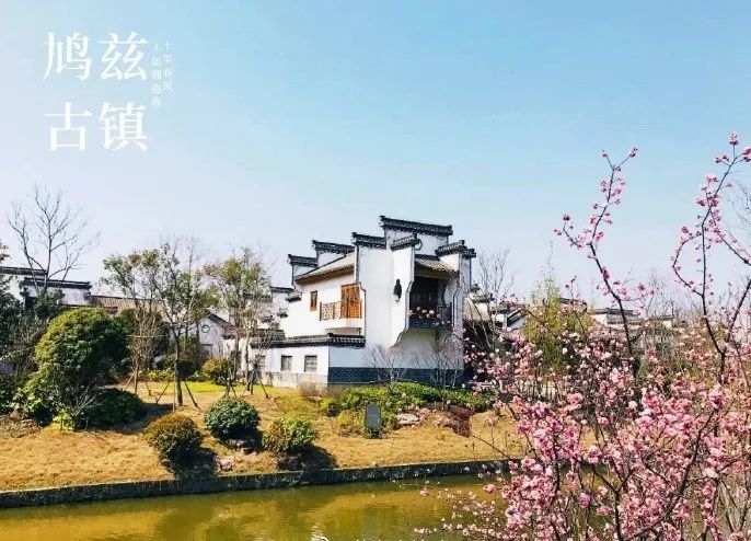 3月7日鸠兹古镇恢复开放!而且对这些人免费!