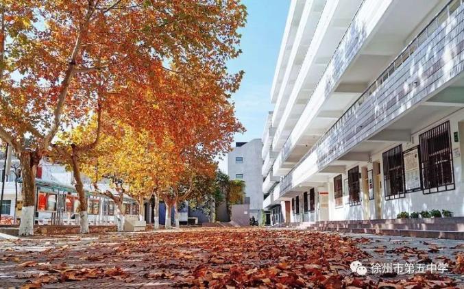 徐州五中"云开学"|做一粒熬过冬天的种子