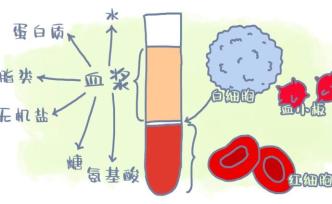 獻血和獻血漿是一回事嗎？關(guān)于血漿捐獻，你需要知道的事