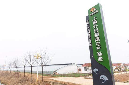 江苏邳州:守住"菜园子" 保供"菜篮子"