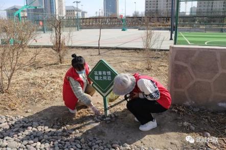 古浪有多少人口_古浪一中图片(2)