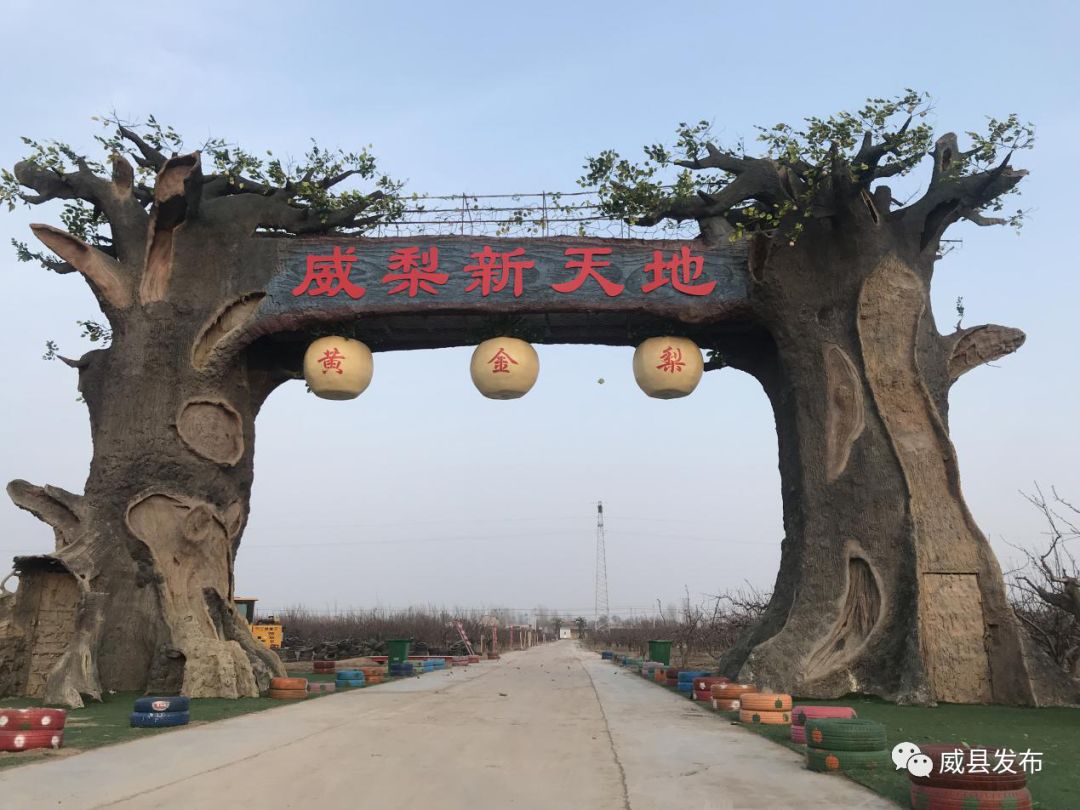 章台镇引领社会化服务组织按下梨园春季管理"重启键