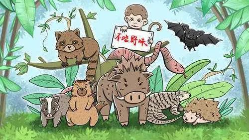 哪些野生动物不能吃? 不能交易?答案就在这里!