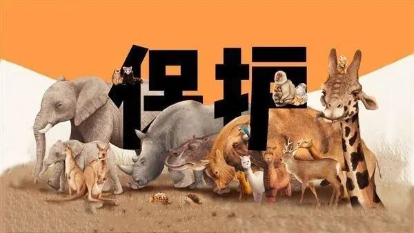 哪些野生动物不能吃? 不能交易?答案就在这里!