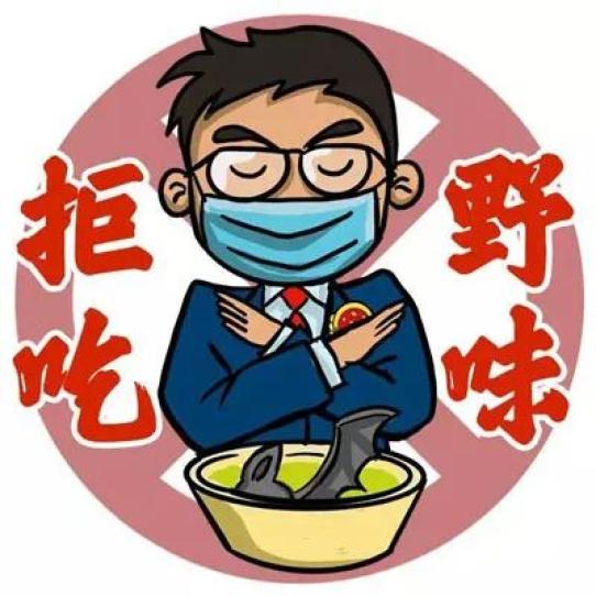 哪些野生动物不能吃? 不能交易?答案就在这里!