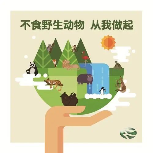 哪些野生动物不能吃? 不能交易?答案就在这里!