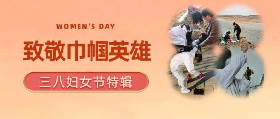 三八妇女节海报特辑|愿你被这个世界温柔以待 致敬战疫巾帼英雄!